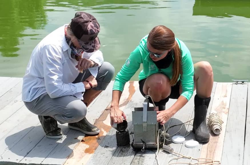 Sediment Phosphorus Fractionation Test